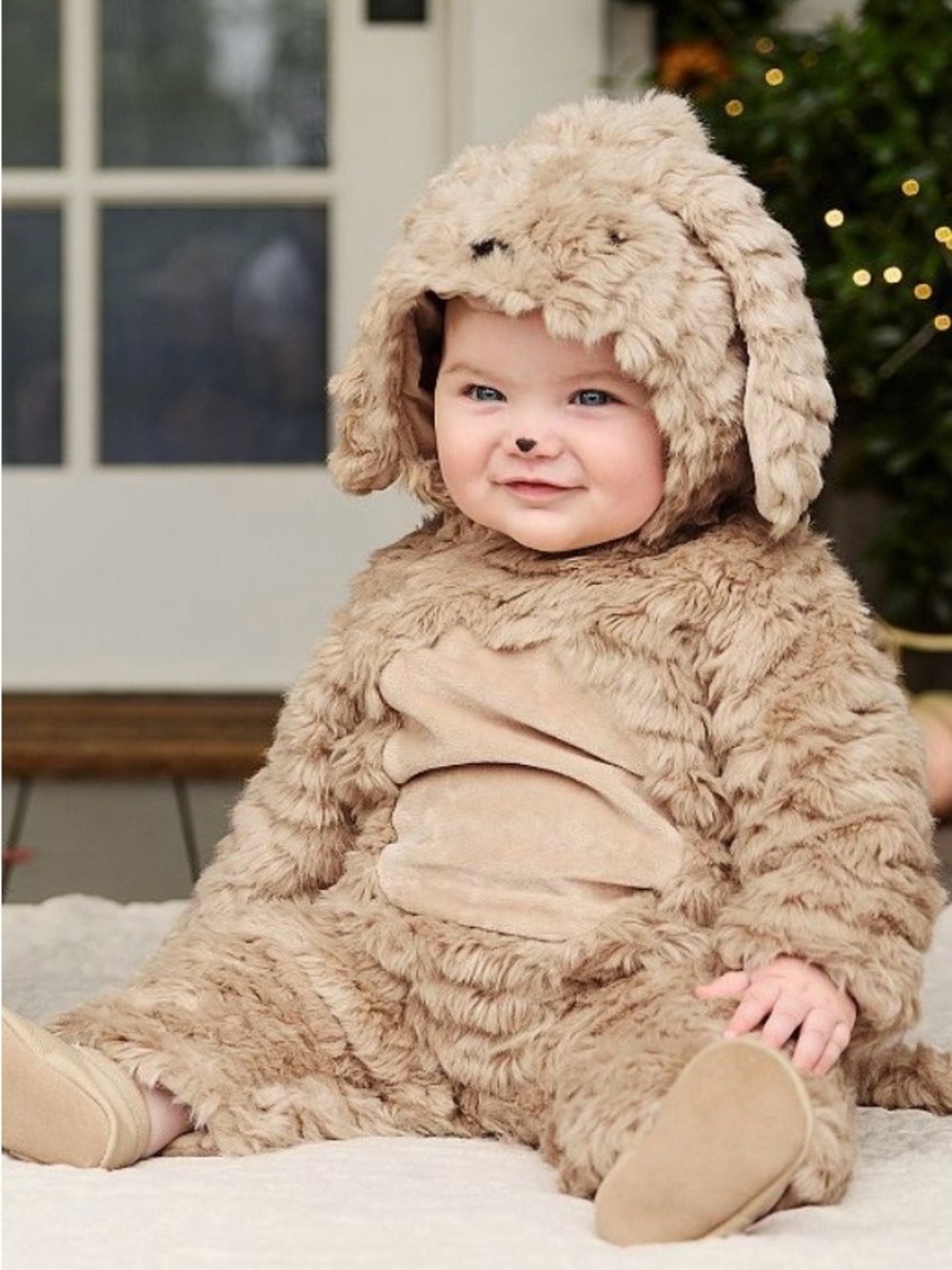 Pottery Barn Kids Labradoodle Dog Halloween Costume 0–6 Months